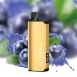 Ingot 20000 Disposable Vape Australia-Ingot 20000 disposable vape device with ultra high puff capacity and rechargeable battery